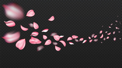 Realistic sakura petals. Pink cherry buds. Bloom and blosssom plants and flowers. Flying leaves and foliage. Spring season. 3D vector collection © Aleksey