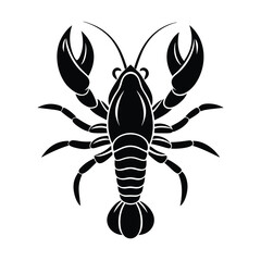 scorpion isolated on white background