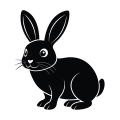 black and white rabbit