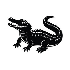 black and white dragon