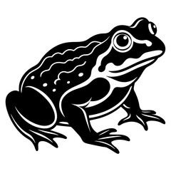 toad silhouette vector illustration