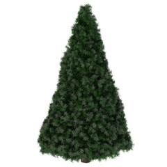 Christmas tree © Mat Karmon