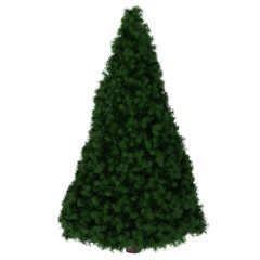 Christmas tree © Mat Karmon