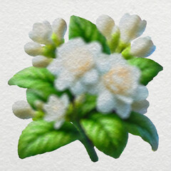 Jasmine Bouquet in Watercolor Style with clipping path