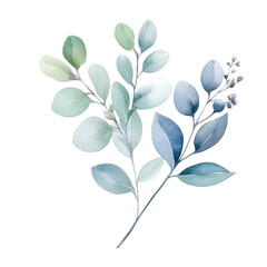 Watercolor painting of delicate eco green and blue leaves on transparent background