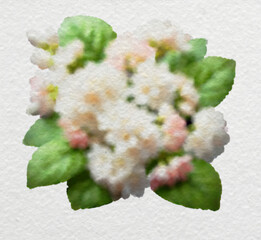 White Hydrangea Cluster in Watercolor Style with clipping path