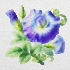 Blue and White Flower in Watercolor Style with clipping path