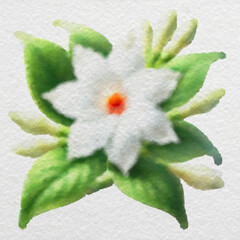 White Star-Shaped Flower with Green Leaves with clipping path