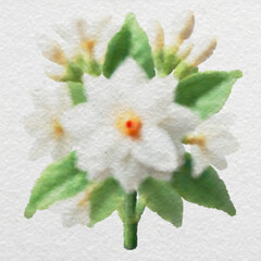 White Floral Cluster with Green Leaves with clipping path