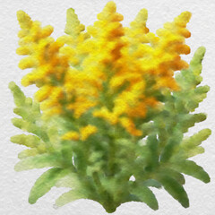 Bright Yellow Floral Cluster with Green Foliage with clipping path