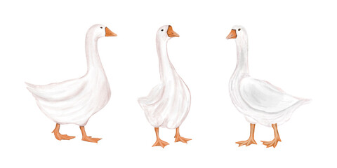 Goose with bow set of three 