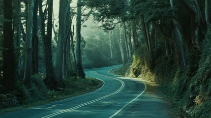 Fototapeta premium Serene winding road through a lush forest landscape.