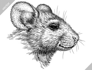 Vintage engraving isolated mouse set illustration mice ink sketch. Rat background rodent silhouette hamster art. Black and white hand drawn vector image