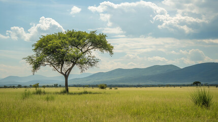 A beautiful landscape in the African savannah