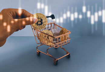 Hands holding gold bitcoin and shopping trolley. Concept for purchases with bitcoins....