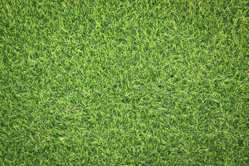 Obraz premium artificial grass background