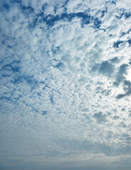 Summer evening or winter evening blue sky cloud gradient light white background. Gloomy vivid cyan. Morning sky looked like a bright golden sky. Sunrise is decorated with clouds in various shapes.