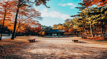 the beautiful landscape of Nami island during the autumn foliage, Korea.
