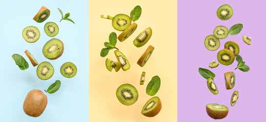 Set of many flying kiwi on color background