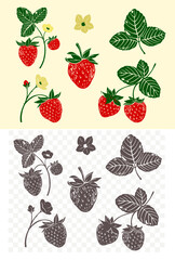 Set of strawberry berries, hand drawn sketches, vector illustration, transparent background