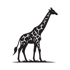 Obraz premium Giraffe silhouette vector art black color design and solid white background