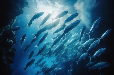Obraz premium School of fish swimming gracefully through a serene underwater environment, sunlight penetrating the blue ocean depths, creating an enchanting aquatic scene.