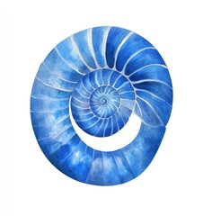 Obraz premium Watercolor painting of a spiraled blue seashell on white background.