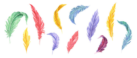 Colorful watercolor different bird feathers illustration clip art in realistic style. Hand drawn feather set. Natural elements for carnival mask decor, dreamcatcher, handmade craft. © Masha_tolk_art