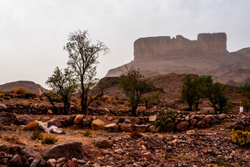 2024 03 13 Jebel Saghro Atlas oasis 55