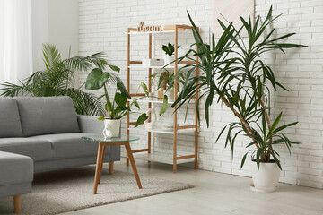 Sofa, rack and different houseplants near white brick wall in interior of living room