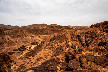 2024 03 13 Jebel Saghro Atlas oasis 65