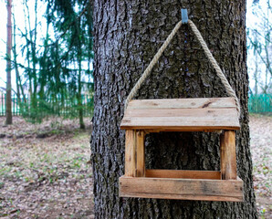 wooden bird feeder in the forest on a spruce tree