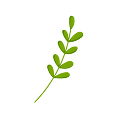 Green branch with rounded leaves in cartoon. Simple botanical design perfect for nature themed project, eco friendly design and decorative elements. Isolated on white background.