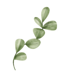 Single Green Foliage Illustration