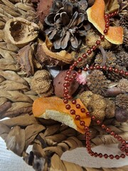 leaves and shells