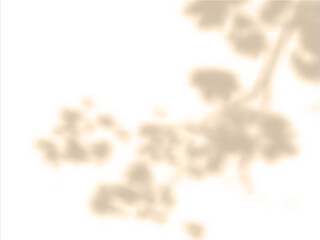 Vector illustration of a wall background with a blurred shadow of a tree branch with leaves.