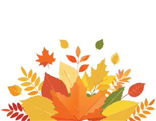 autumn leaves background