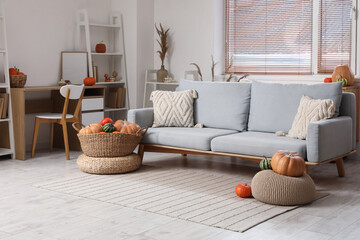 Living room interior with grey sofa, workplace and wicker basket of different pumpkins
