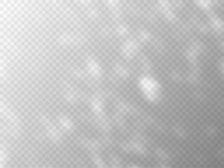 Shadow effect on transparent background vector overlay effect, sunbeams reflection, foliage natural lighting mockup