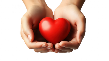 Caring Hands, red heart in tender palms, symbol of love and compassion Isolated on white background or PNG