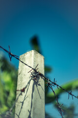 Sharp and sharp wire