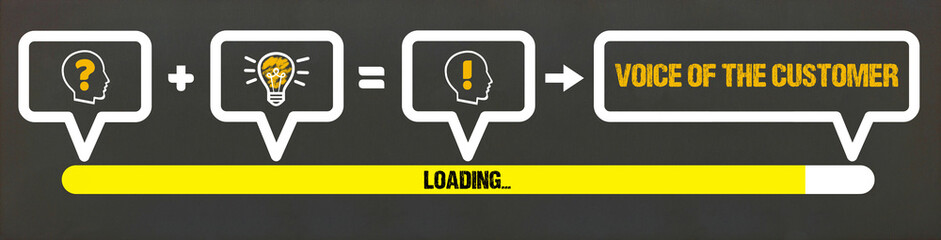 voice of the customer	