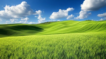 Rolling Green Hills Under a Blue Sky with White Clouds