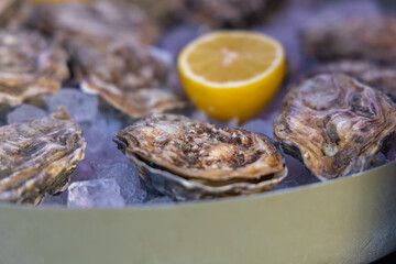 Oysters for eating are on the counter with lemon for sale. Street sale