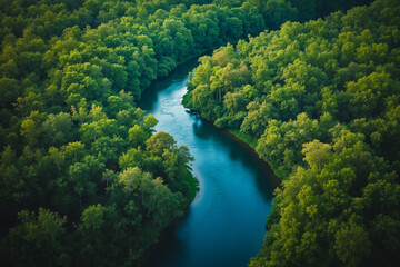 A river running through a lush green forest