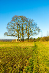 Eine kleine Wanderung auf dem Wanderweg Extratour rund um die s&uuml;dth&uuml;ringische Kleinstadt Meiningen - Th&uuml;ringen - Deutschland