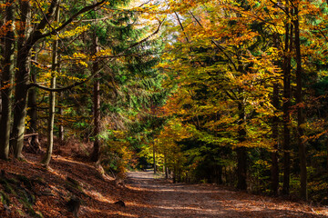 Karkonosze, Sudety, Śnieżka, góry, Sokoliki, wodospad
