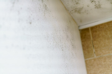 Mould in the ceiling of a bathroom