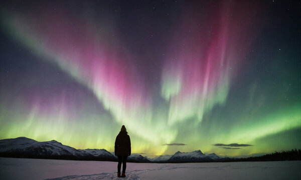Tourist woman admiring magical aurora borealis, nature of the polar region at nighttime, looking up at glowing northern lights under sky. Woman standing in a snowy field, polar nature.