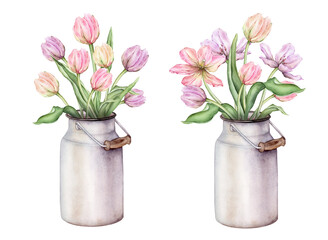 Pastel multi-colored set of bud bouquet Tulips in metal can watercolor illustration isolated on background. Hand drawn delicate perennial bulbous pink yellow purple flower for spring design or card.